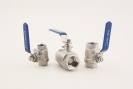 Two Piece Ball Valve - 3/4 in. Threaded